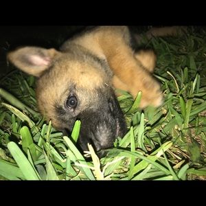 Meet your Posher, Christie